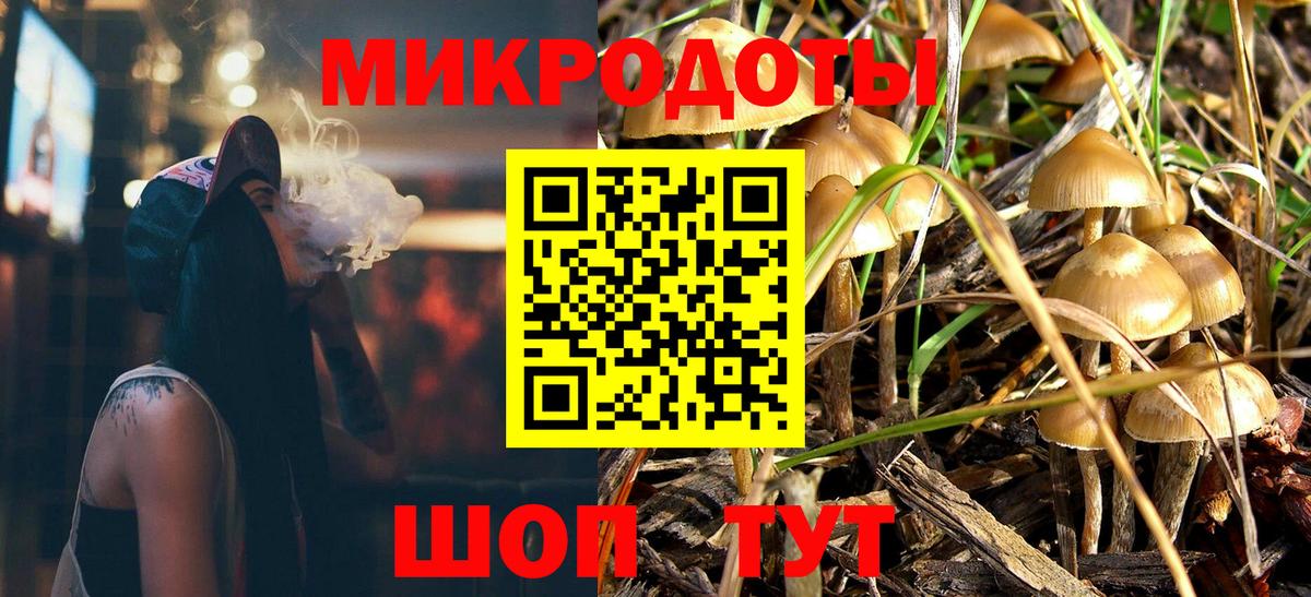 Галлюциногенные грибы Magic Shrooms Пенза