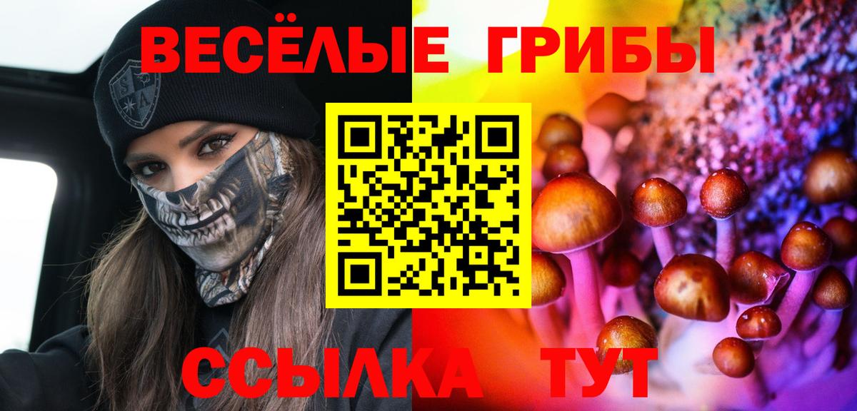 Пенза  Галлюциногенные грибы Psilocybine cubensis  Вход с VPN 
